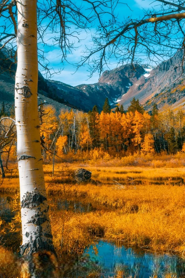 Осень