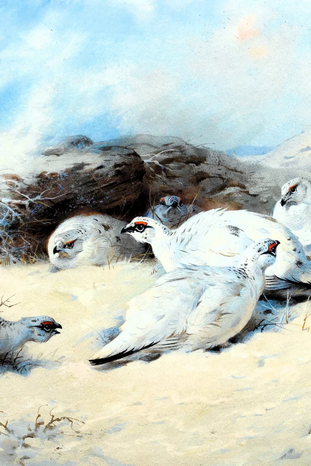 Archibald Thorburn