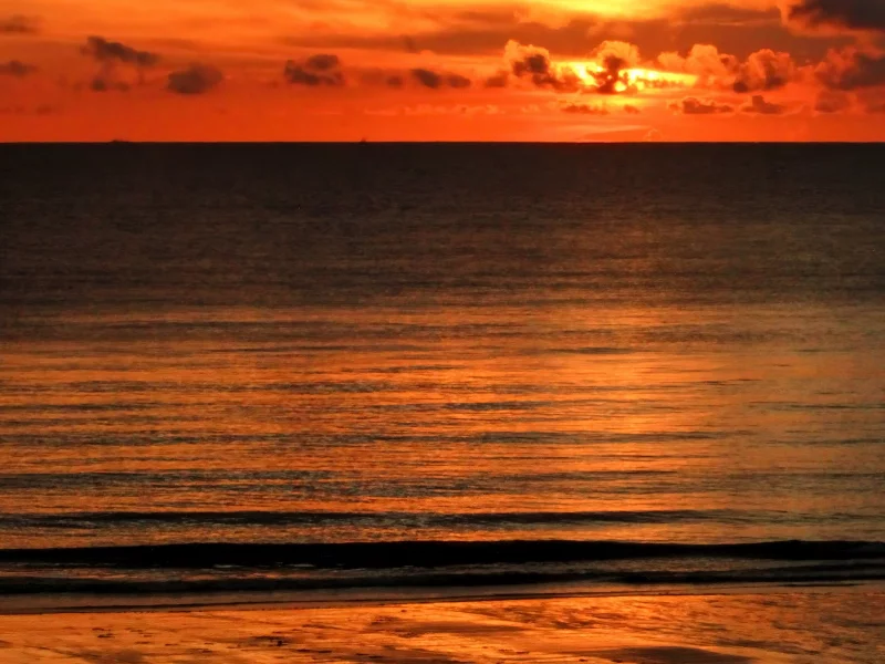 природа