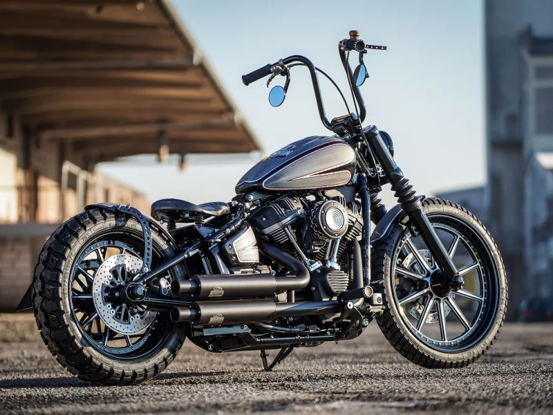 Harley