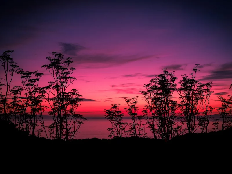 природа