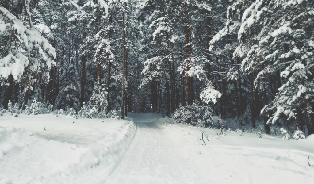 зима