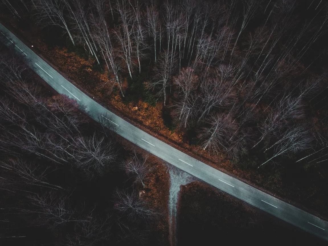 осень