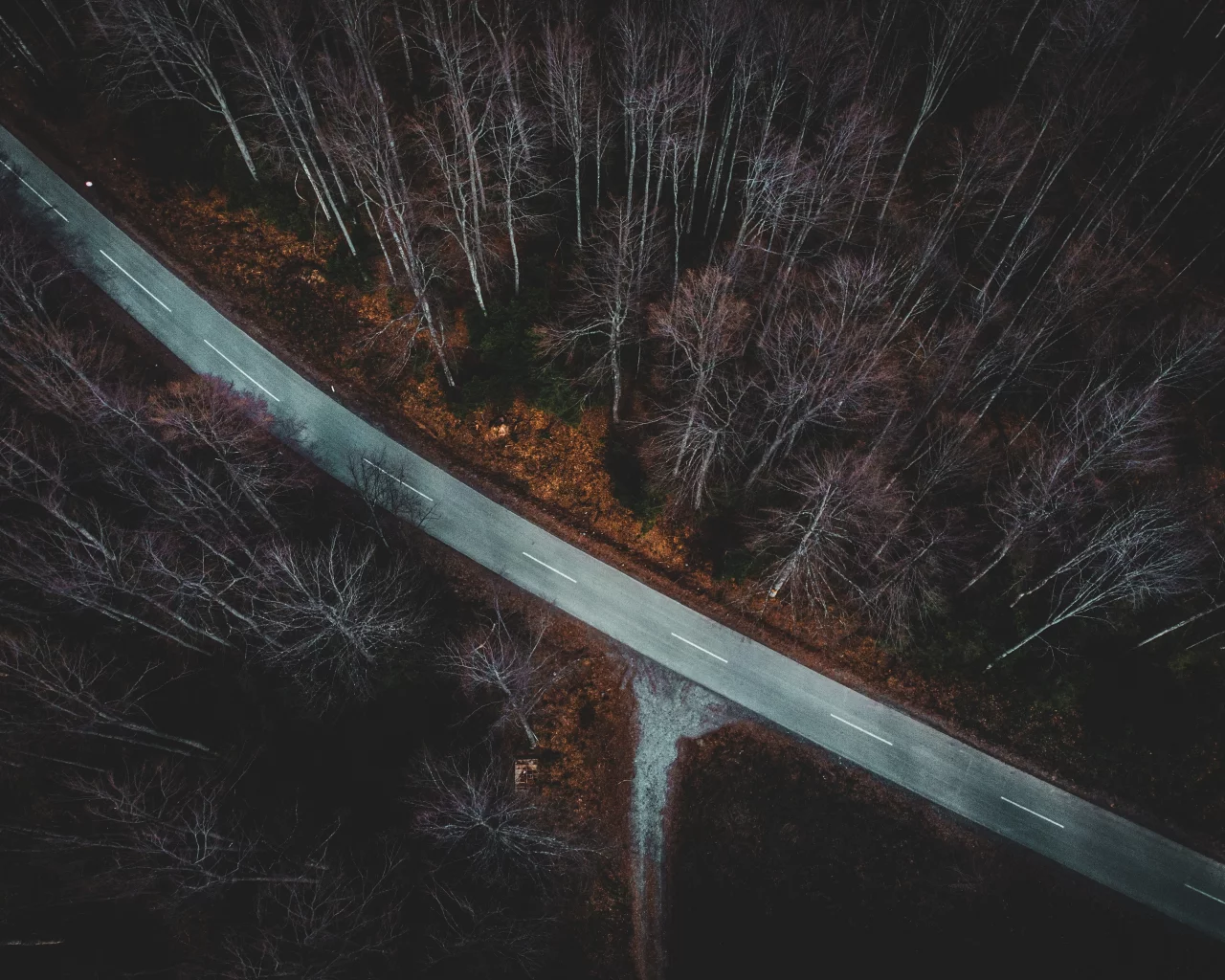 осень