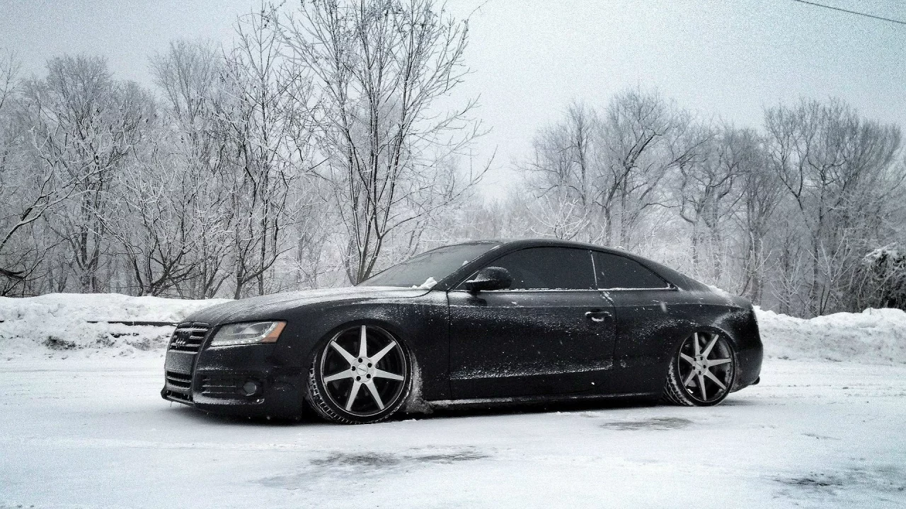 audi