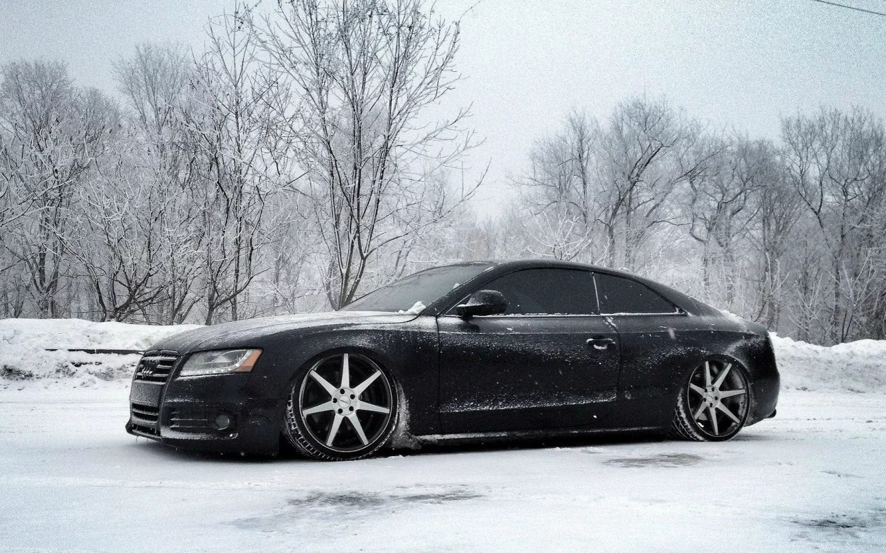 audi