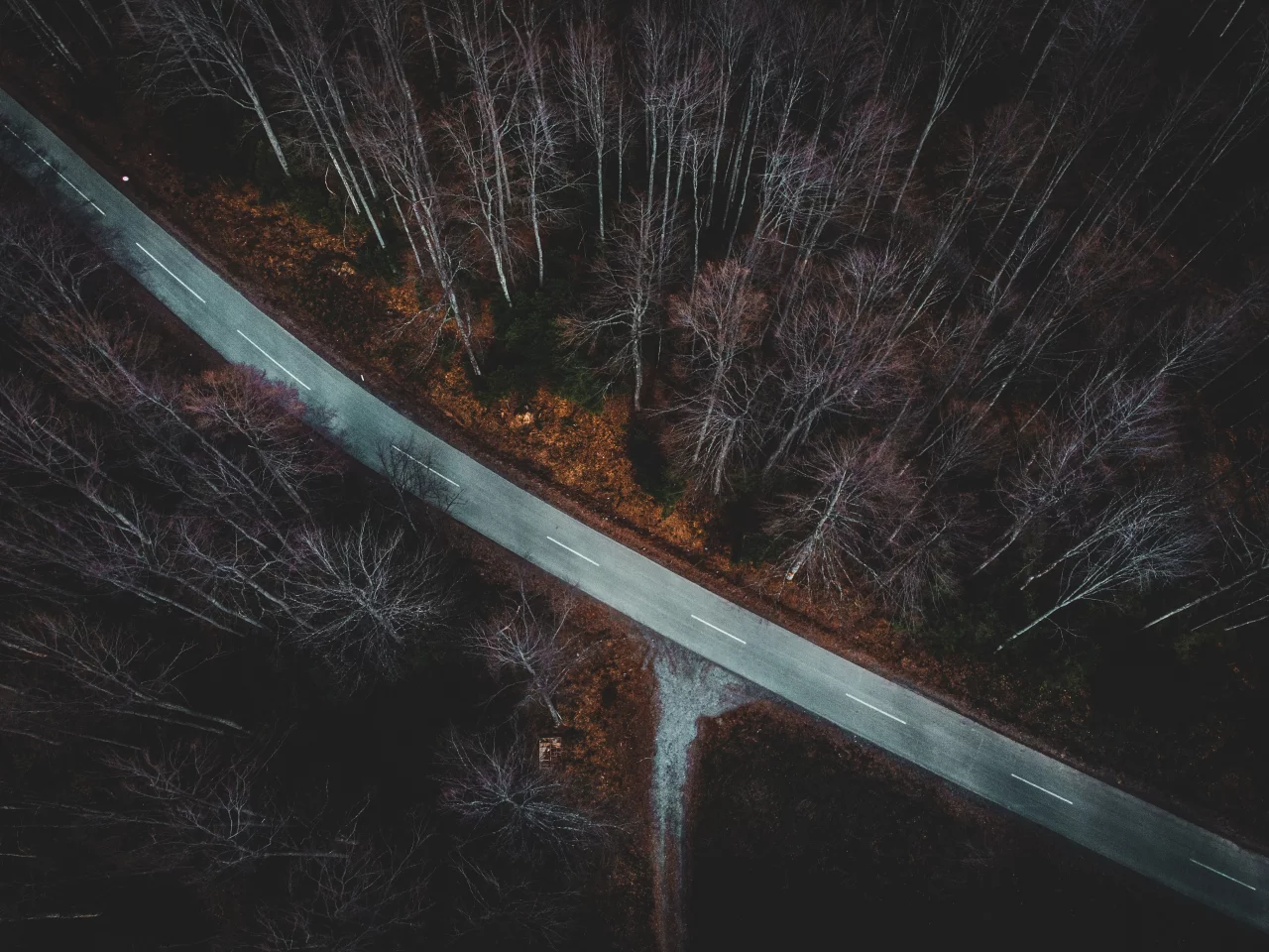 осень