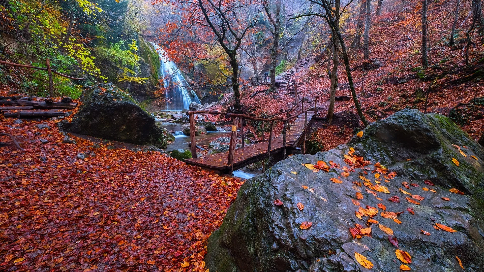 пейзаж