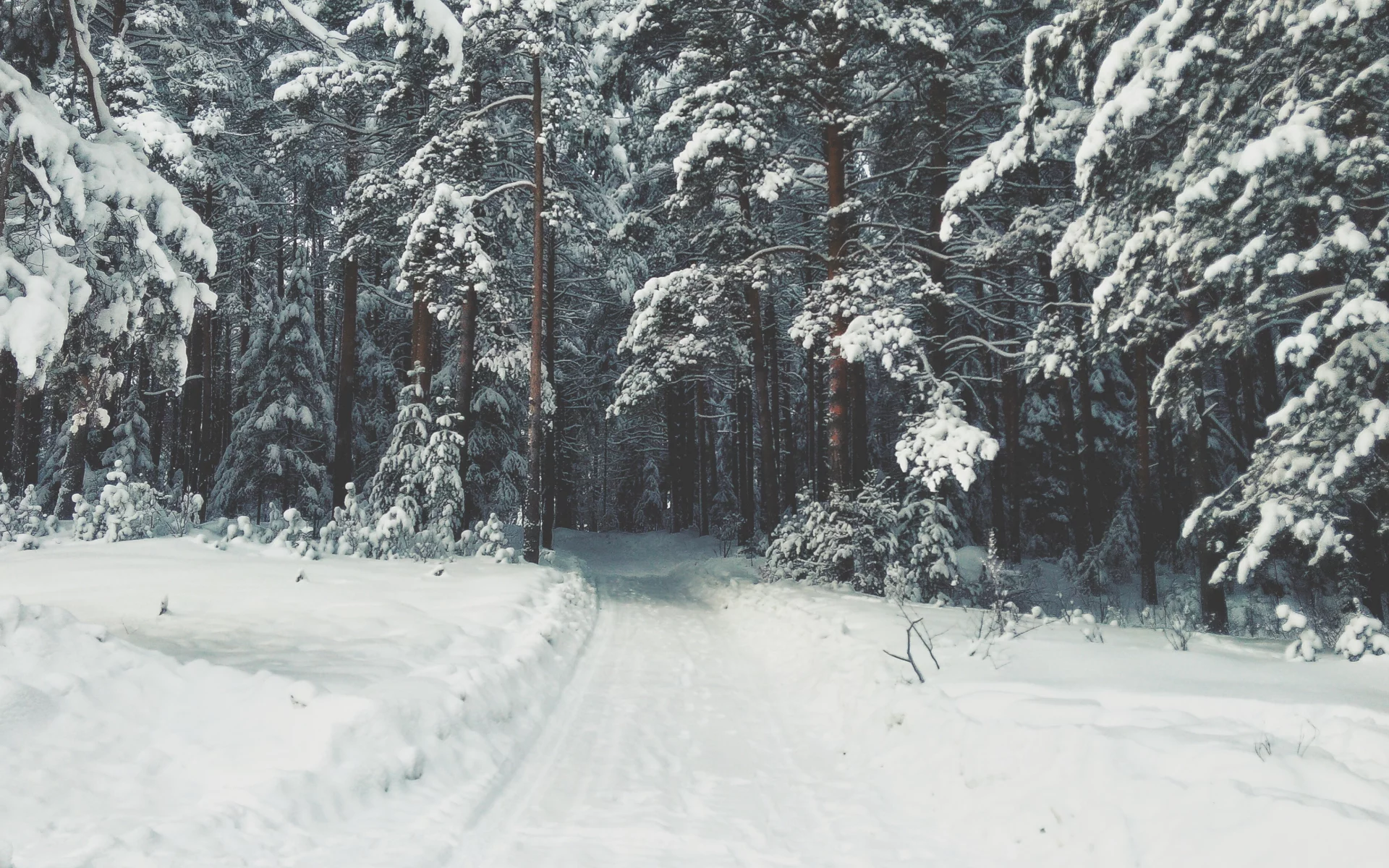 зима