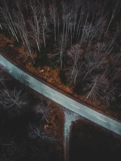 осень