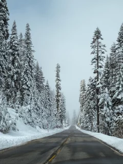 зима