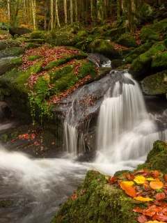природа