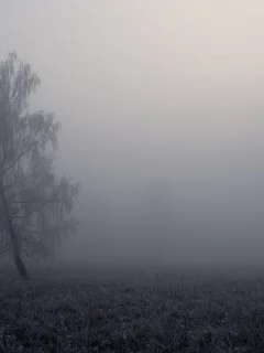 природа