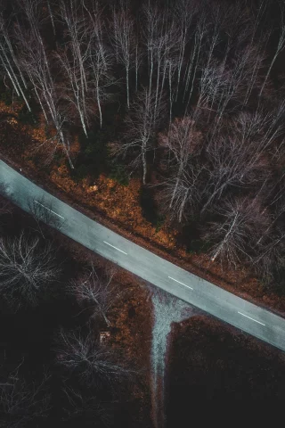 осень