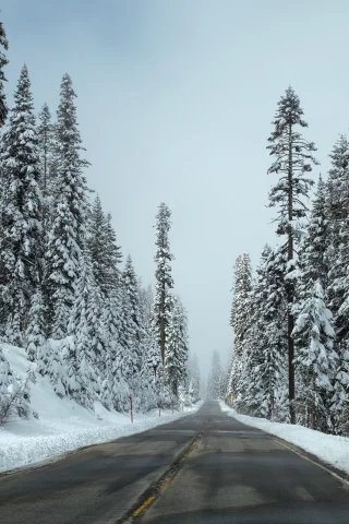 зима