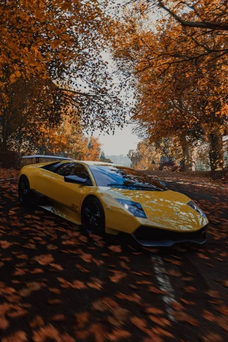 авто