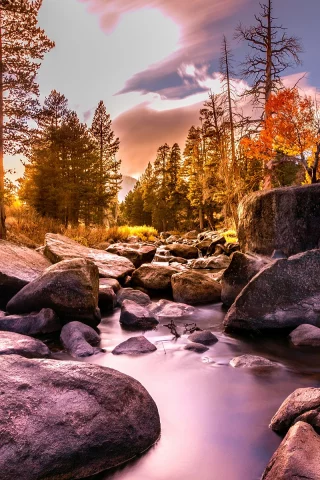природа