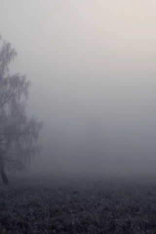 природа