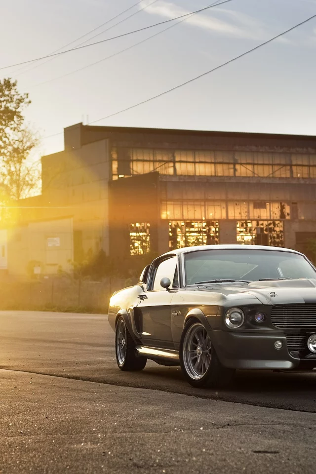 Eleanor