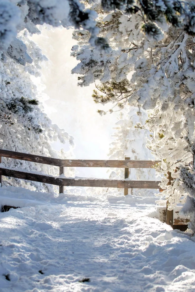 Yellowstone NP, Wyoming