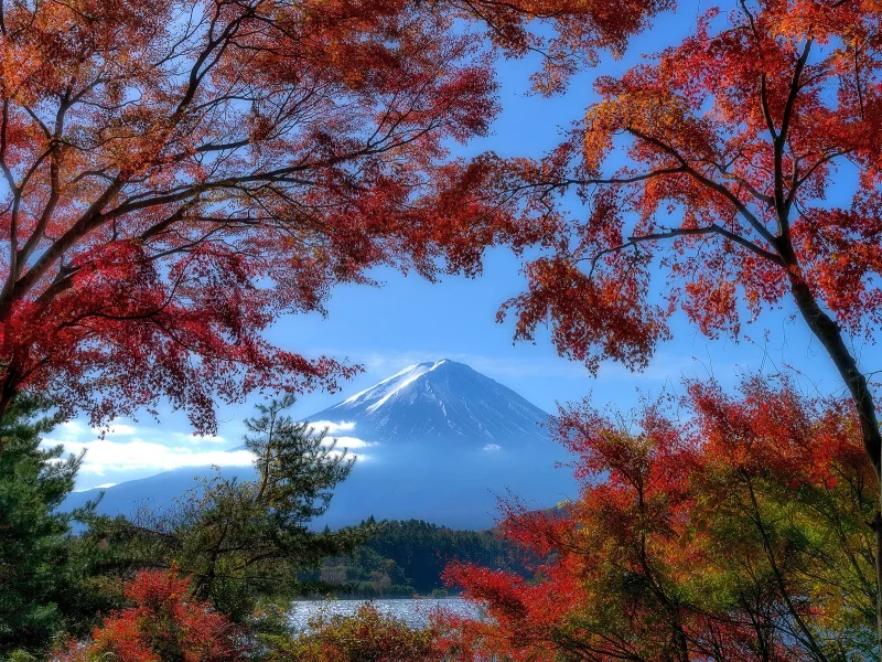природа