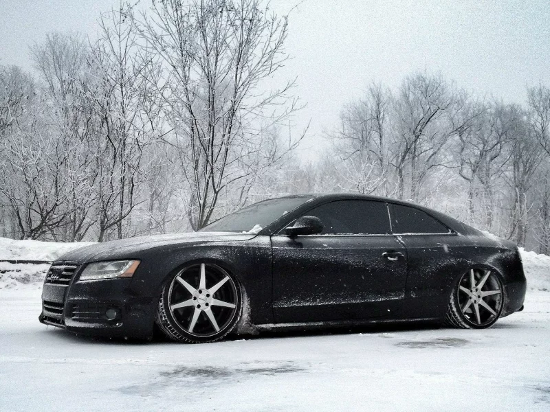 audi