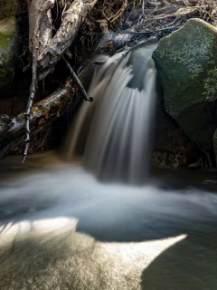 природа