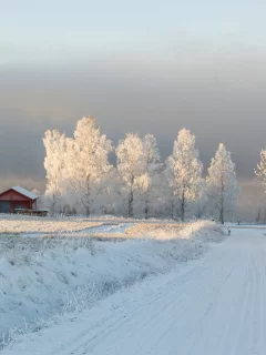 зима