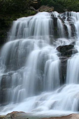 природа
