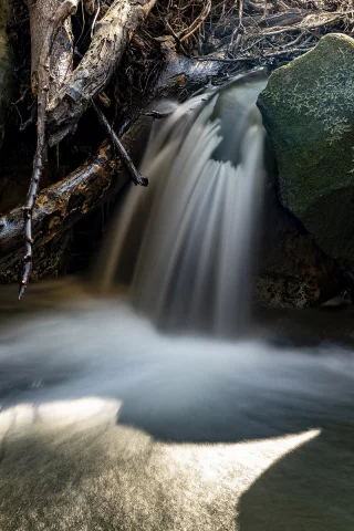 природа