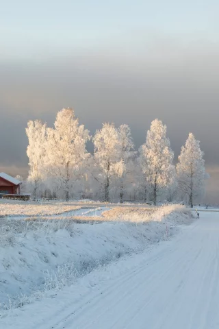 зима