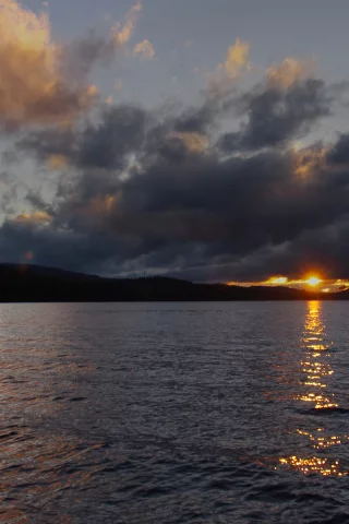 природа