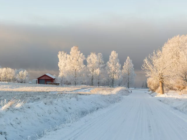 зима
