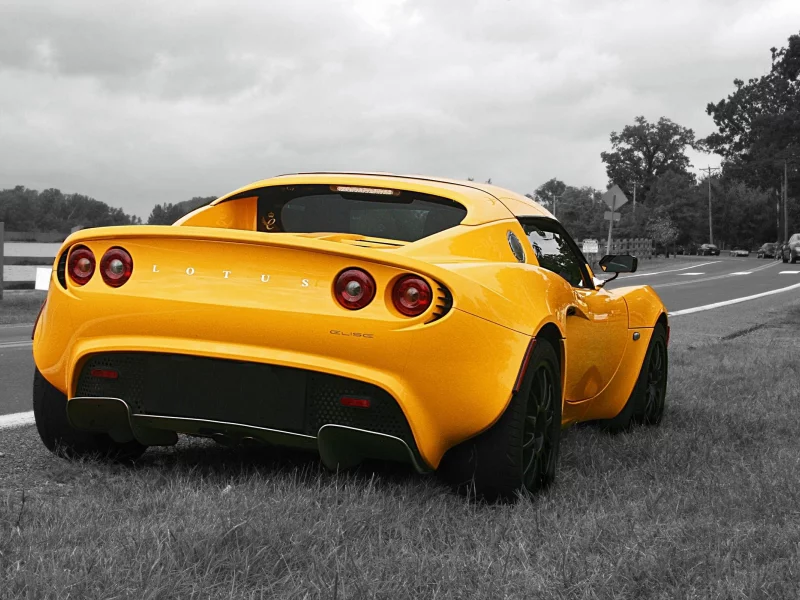 lotus
