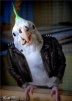<br /><b>Notice</b>: Undefined index: username in <b>/sites/fonstola.ru/theme/component/user/header.php</b> on line <b>9</b><br />