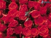 <br /><b>Notice</b>: Undefined index: username in <b>/sites/fonstola.ru/theme/component/user/header.php</b> on line <b>9</b><br />