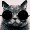 <br /><b>Notice</b>: Undefined index: username in <b>/sites/fonstola.ru/theme/component/user/header.php</b> on line <b>9</b><br />