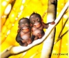 <br /><b>Notice</b>: Undefined index: username in <b>/sites/fonstola.ru/theme/component/user/header.php</b> on line <b>9</b><br />