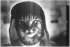 <br /><b>Notice</b>: Undefined index: username in <b>/sites/fonstola.ru/theme/component/user/header.php</b> on line <b>9</b><br />