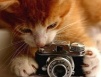 <br /><b>Notice</b>: Undefined index: username in <b>/sites/fonstola.ru/theme/component/user/header.php</b> on line <b>9</b><br />